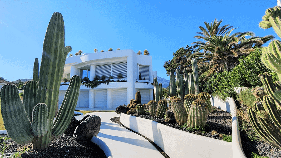 white stucco house with cactus garden under a blue sky